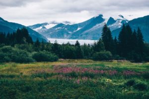 Image of Anchorage Alaska mountains in spring time with flowers overlooking a lake